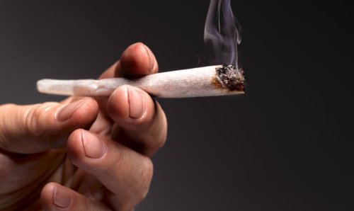 Le cannabis récréatif n'est pas aussi inoffensif qu'on le pense, selon une étude - Forbes France
