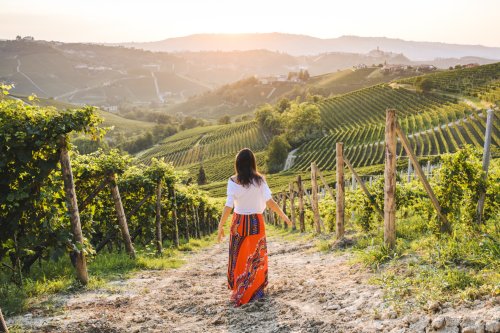 Les dix meilleures destinations vinicoles en 2025, selon European Best Destinations