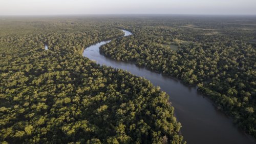 La forêt amazonienne au point de non-retour et en passe de devenir un gigantesque désert ? - Forbes France