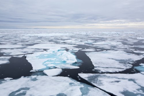 L’Arctique se réchauffe quatre fois plus vite que le reste de la planète - Forbes France