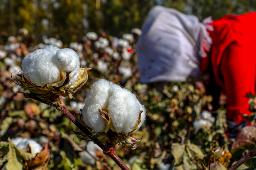 Trump’s Trade War Should Target China’s Forced Labor