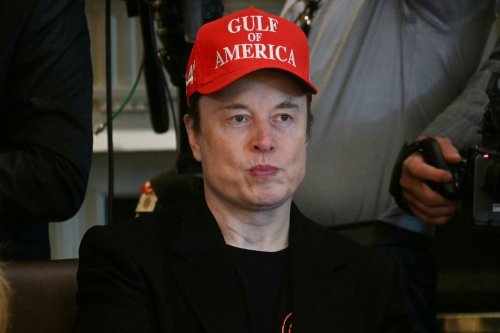 Elon Musk Was Donald Trump’s Useful Idiot