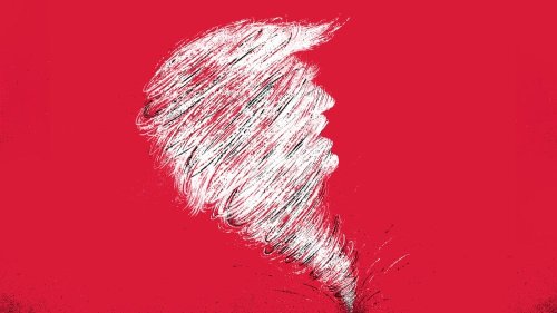 Four Explanatory Models for Trump’s Chaos