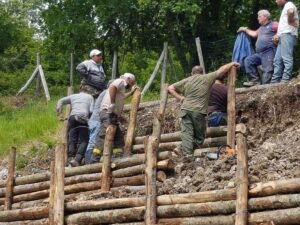 Operai Forestali del Molise ancora senza stipendio. Devono comprare anche i dispositivi di sicurezza di tasca propria