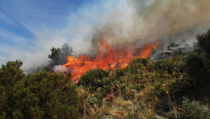 Spinti dal vento, aumentano gli incendi in Toscana. Manciano e Rosignano Marittimo i comuni più colpiti