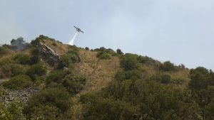 Violento incendio su monte Sparagio a Trapani