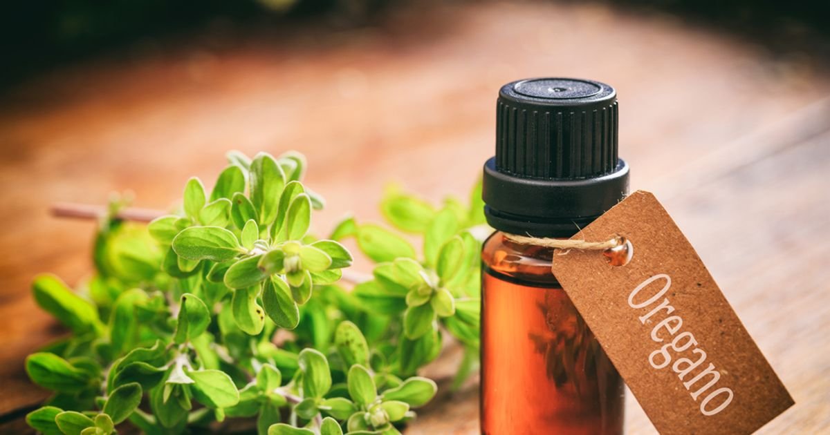 The Health Benefits of Oregano Oil - Forkly