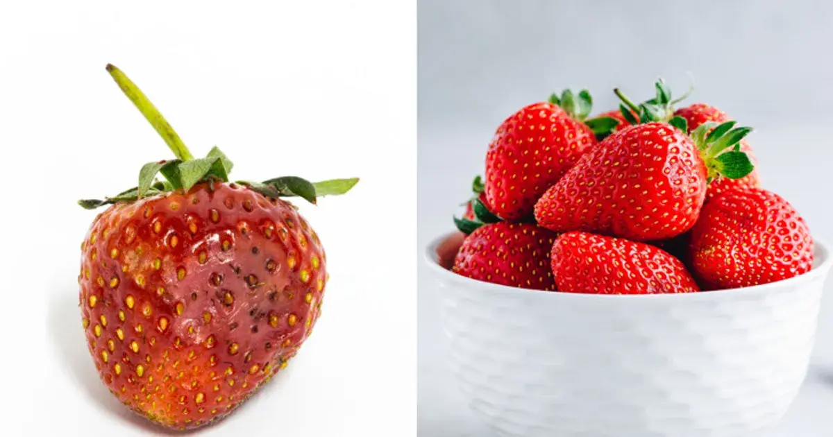 Strawberry Hack: How Ice Water Can Refresh Your Soggy Strawberries - Forkly