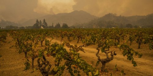 Wildfire ripping through California wine country expands as thousands flee
