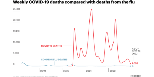 Why COVID isn’t the flu (yet) in one brutal graph