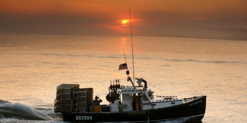 Trump is loosening red tape to help America’s $20 billion seafood trade deficit. Conservation groups worry overfishing could unravel the ocean’s ‘safety net’