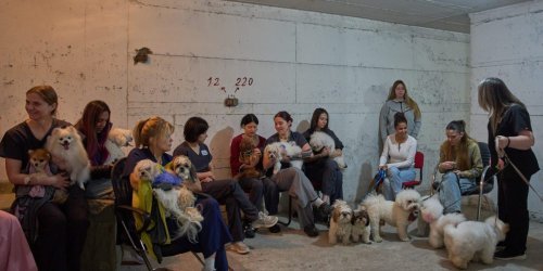 ‘We do not plan on any negotiations’: Iran laughs at White House’s claims of cease-fire talks