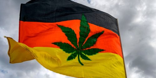 The world’s cannabis growers are ‘euphoric’ about Germany’s plans to legalize pot. But sparking up the market is proving to be a real buzzkill