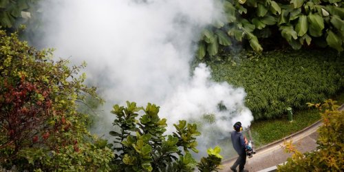 Singapore Confirms 41 Cases of Locally-Transmitted Zika Virus