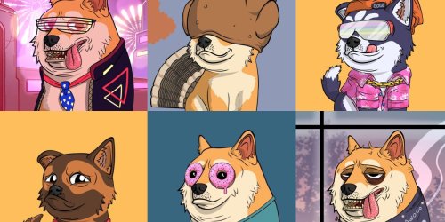 The founder of ‘The Doge Pound’ created an NFT collection that has traded for $85.4 million. Here’s how he did it.