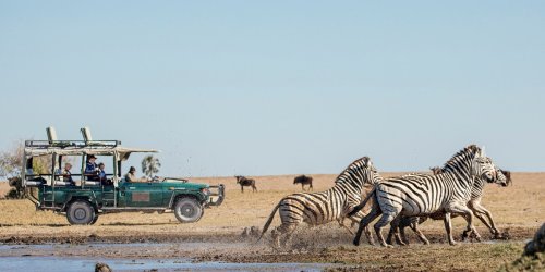Safaris get a makeover at a critical moment for Africa’s recovering tourism industry