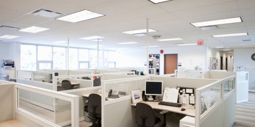 It’s Time to Bring Back the Office Cubicle