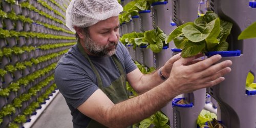As indoor farming startups with hundreds of millions in funding head to bankruptcy, critic says: ‘Boy, this is a dumb idea’