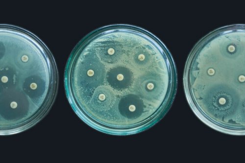 Antimicrobico resistenza, l’altra pandemia