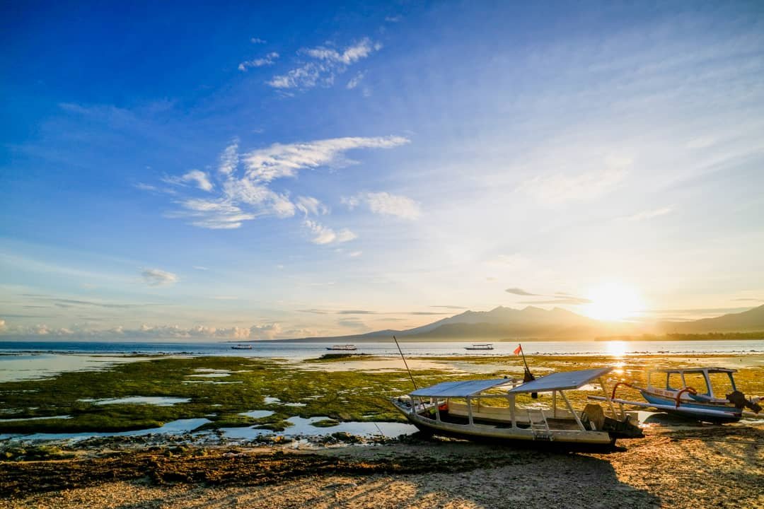 Asia Wanderlust cover image