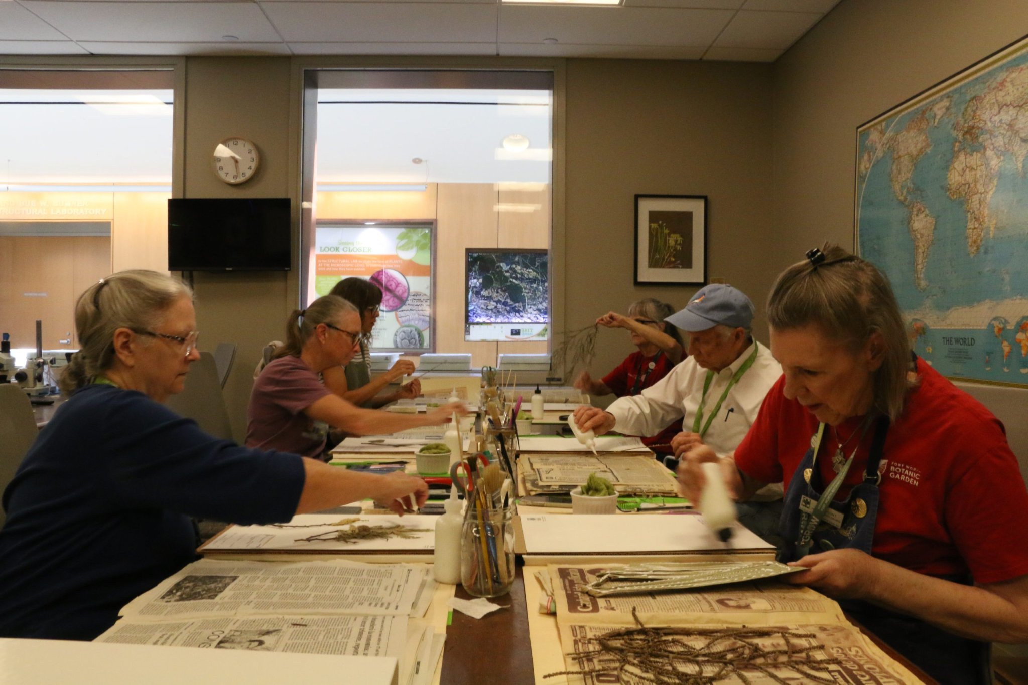Cataloging 1.5M plant species allows Fort Worth herbarium to grow its conservation efforts