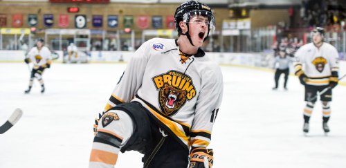 Back at top of his game, former Bruin Menghini commits to Minnesota Duluth