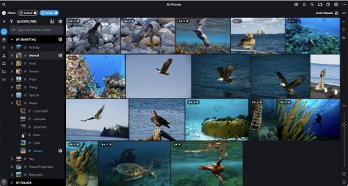 Mylio Photos: Neue Version der intuitiven Fotoverwaltung für alle kostenlos
