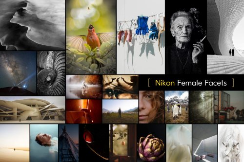 Nikons „Female Facets“ Projekt: Kostenloses Kursprogramm