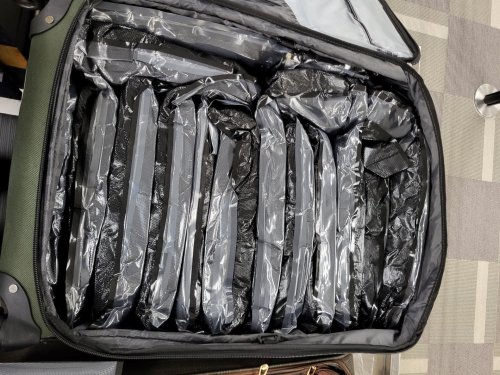 Woman busted with 43 pounds of marijuana at St. Louis airport