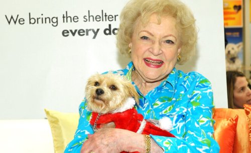 Donations pour into St. Louis animal shelters thanks to Betty White Challenge