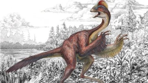 Scientists unveil 'chicken from hell' dinosaur that lived 66 million years ago