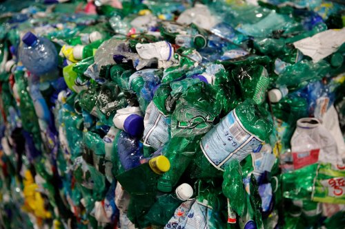 Scientists discover bacteria that can eat plastic trash