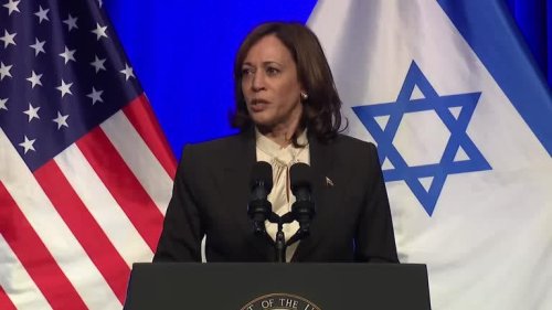 Israeli official blasts Kamala Harris' criticism of judicial reform, says she can't 'name one' provision