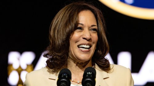 Kamala Harris stumbles over her words in Ghana speech: 'A lot of that work is the work that I am here to do'