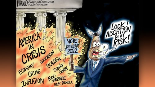 Political Cartoon of the Day: Operation Diversion