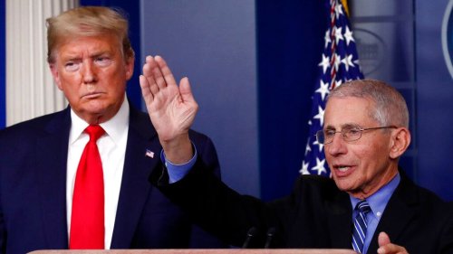 Fauci says he'll leave White House if Trump wins 2024 election