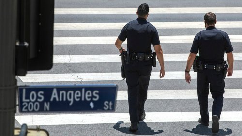 LAPD detective sounds alarm on 'killer cop' website: 'This is uncharted territory'