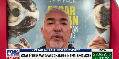 Solar eclipse may spark behavioral changes in your pet: Cesar Millan | Fox Business Video