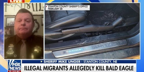 Citizens upset After Illegal Immigrants Allegedly Kill A Bald Eagle