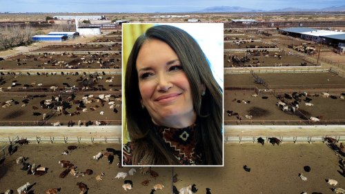 USDA threatens to halt Mexican beef imports over flesh-eating fly crisis