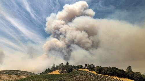 Wildfires again threaten business in California wine country