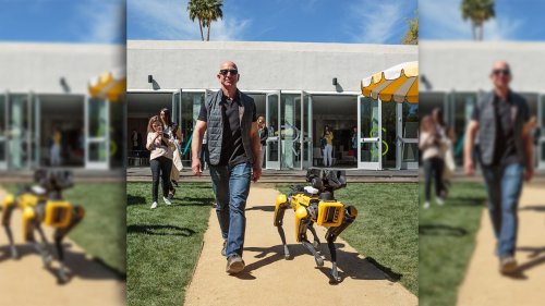 10 companies that let you bring your dog to work