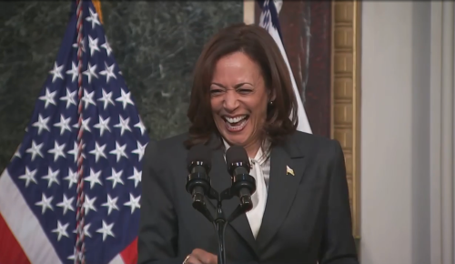 Kamala Harris mocked for 'patronizing' space launch description: 'Like a 5-year old wrote this'