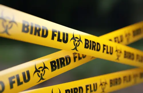 Human bird flu case presumed in Canada, teenage patient is hospitalized