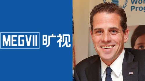 Hunter Biden owns stake in Chinese company blacklisted by US