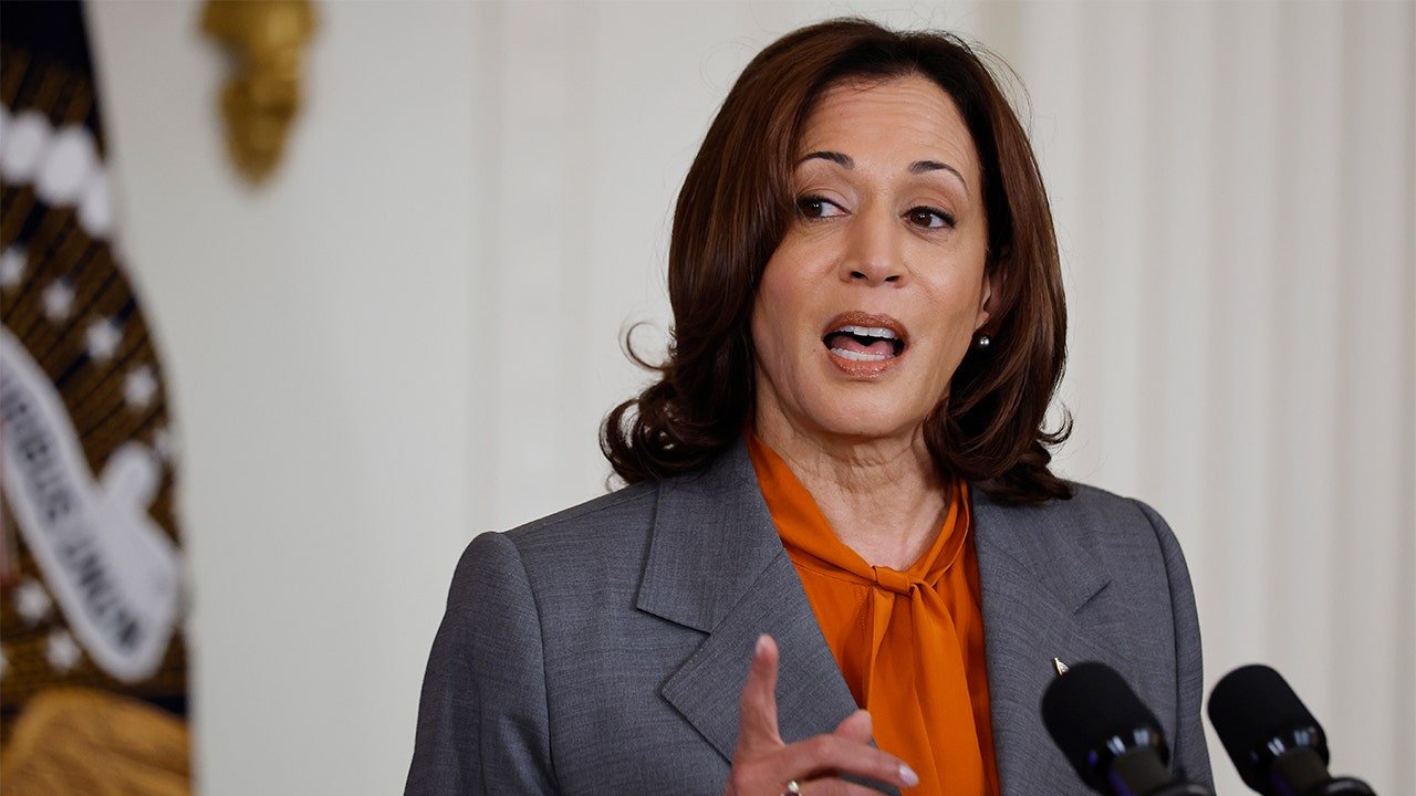 Kamala Harris: Admin has duty to stop AI 'algorithmic discrimination,' ensure benefits 'shared equitably'