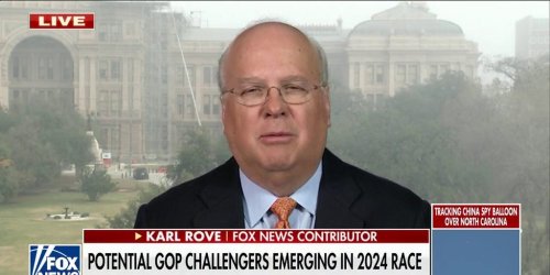 Trump has a ‘cap’ on supporters, would struggle in a smaller GOP field: Karl Rove | Fox News Video