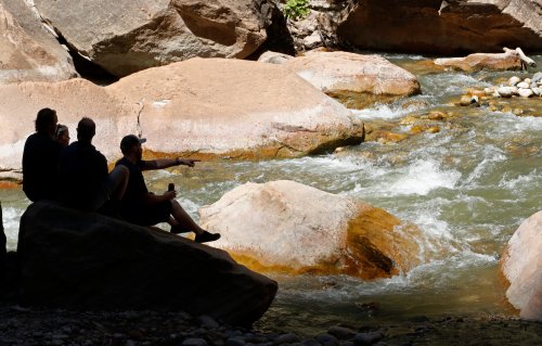 Utah issues warning for Zion National Park river after dog dies of algal bloom exposure after swimming