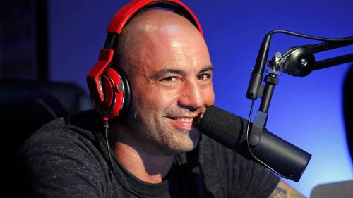 A vet, engineer and podcast host are among the '270 doctors' demanding Spotify take action against Joe Rogan