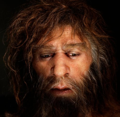 Climate change drove some Neanderthals to cannibalism